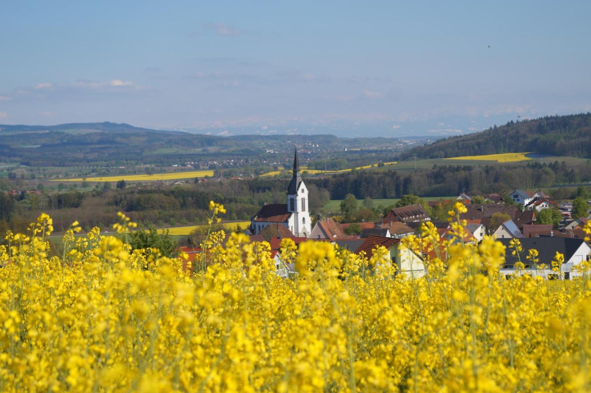 Landhotel Schellenberg Überlingen Kültér fotó